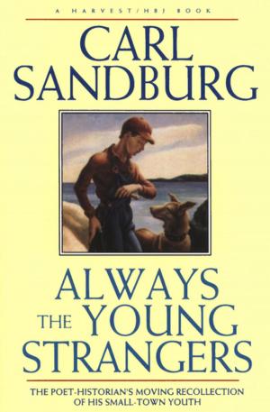 Book cover of Always the Young Strangers