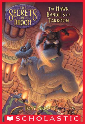 Cover of the book The Hawk Bandits of Tarkoom (The Secrets of Droon #11) by Timothy Bentinck
