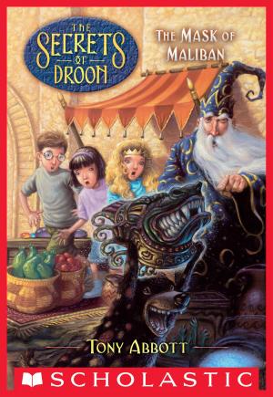 bigCover of the book The Mask of Maliban (The Secrets of Droon #13) by 