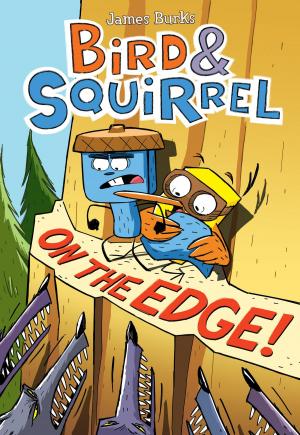 Book cover of Bird & Squirrel on the Edge!
