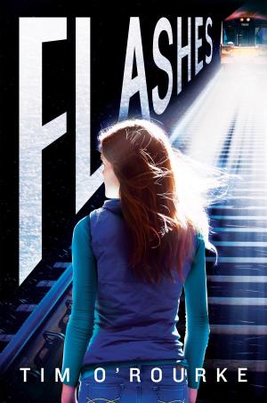 bigCover of the book Flashes by 