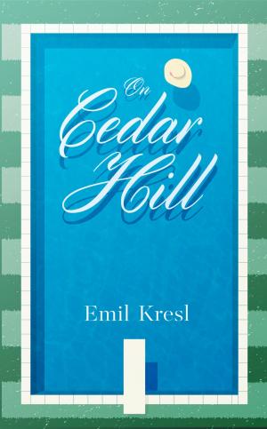 Cover of the book On Cedar Hill by Natalie Blitt