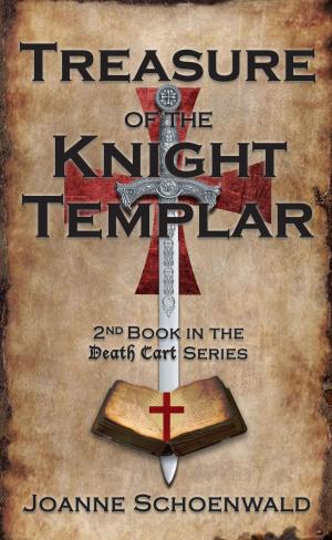 Book cover of Treasure of the Knight Templar