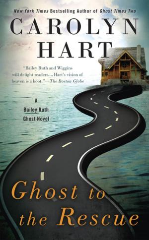 Cover of the book Ghost to the Rescue by Carrie Brownstein