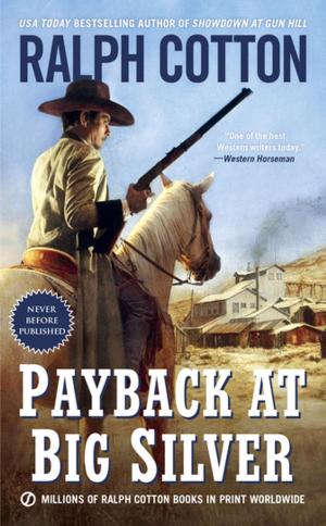 Cover of the book Payback at Big Silver by Jo Goodman