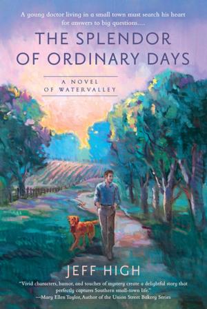 Cover of the book The Splendor of Ordinary Days by Victoria Hamilton