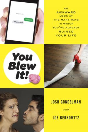 Cover of the book You Blew It! by 