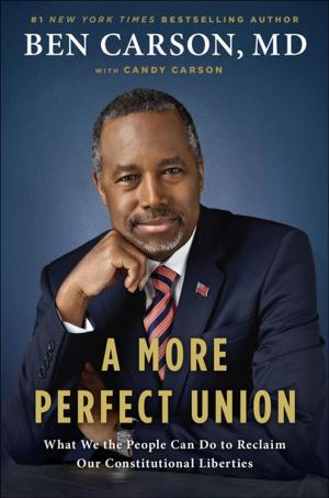 Cover of the book A More Perfect Union by H. H. Dalai Lama, Victor Chan