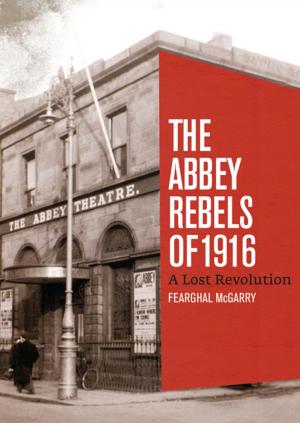 Cover of the book The Abbey Rebels of 1916 by Kevin C. Kearns, Ph.D.
