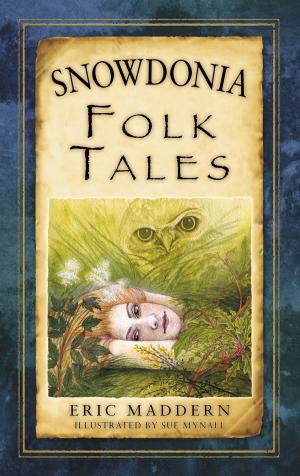 Cover of the book Snowdonia Folk Tales by Andrew Cook