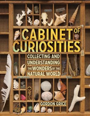 Book cover of Cabinet of Curiosities