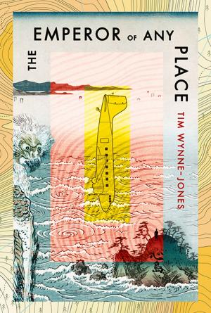 Cover of the book The Emperor of Any Place by Rafi Mittlefehldt