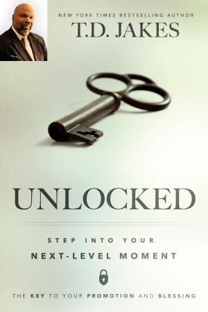 Cover of the book Unlocked by Becky Dvorak