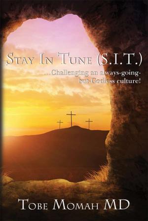 Cover of the book Stay in Tune (S.I.T.) by Chris Grummitt
