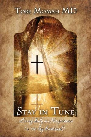 Cover of the book Stay In Tune (S.I.T.) Devotional by Oden Hetrick