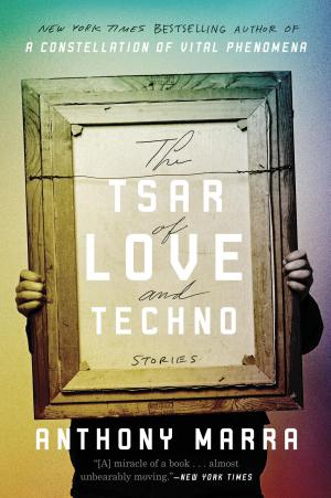 bigCover of the book The Tsar of Love and Techno by 
