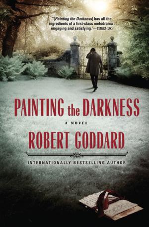 Cover of the book Painting the Darkness by Julia Franck
