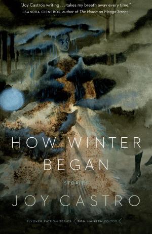 Cover of How Winter Began