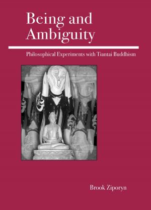 Cover of the book Being and Ambiguity by Ph.D. Jeffrey A. Schaler
