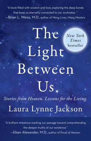 Cover of the book The Light Between Us by Barbara Hand Clow