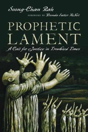 bigCover of the book Prophetic Lament by 