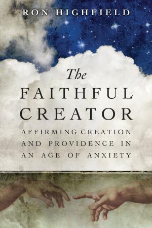 Cover of the book The Faithful Creator by Anne Borrowdale