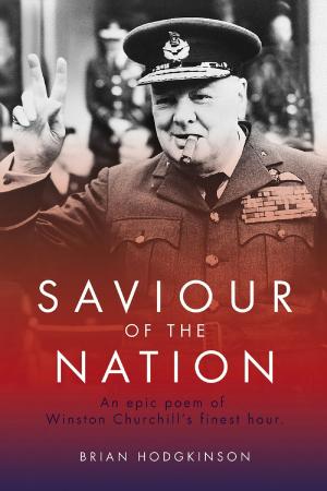 Book cover of Saviour of the Nation