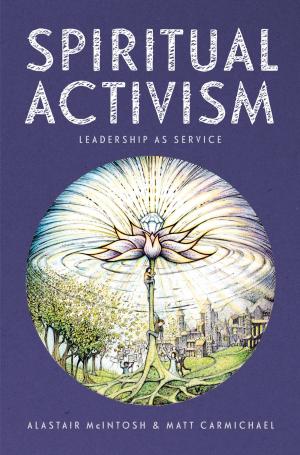 Cover of the book Spiritual Activism by Mary Reynolds
