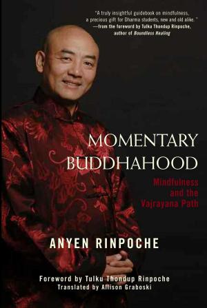 Cover of the book Momentary Buddhahood by Sonam Thakchoe