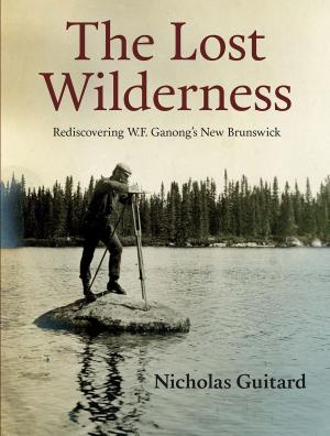 Book cover of The Lost Wilderness