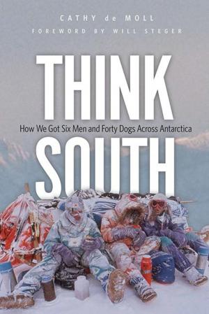 Cover of the book Think South by Jon Gjerde, Carlton C. Qualey