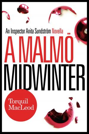 Cover of the book A Malmö Midwinter by Gérard de Villiers