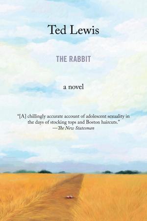 Cover of the book The Rabbit by Mick Herron