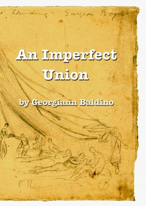 Book cover of An Imperfect Union