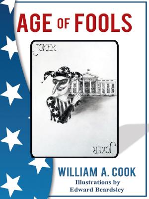 Book cover of Age of Fools