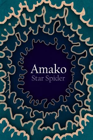 Cover of the book Amako by Kirsty Logan