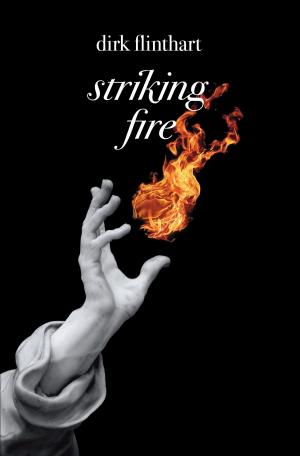 Cover of Striking Fire