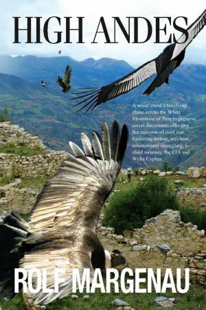 Cover of the book High Andes by Kirsty Ferguson