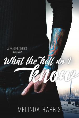 Cover of the book What The Hell Do I Know, A Fangirl Series Novella by Kay Gregory