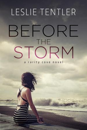 bigCover of the book Before the Storm (Rarity Cove Book 1) by 