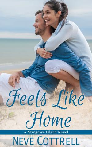 Cover of the book Feels Like Home by V.L. Locey