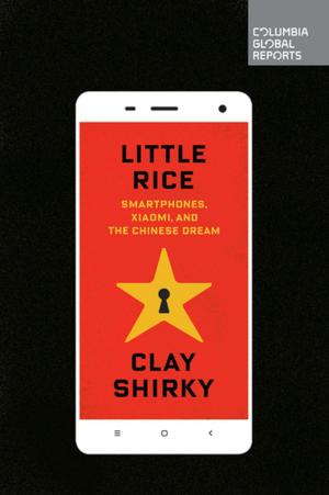 Cover of the book Little Rice by David Kaye
