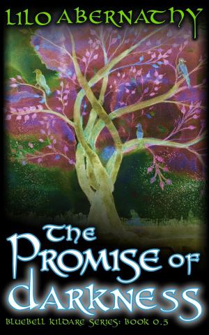 bigCover of the book The Promise of Darkness by 