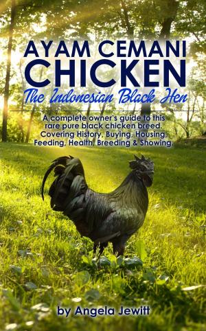 Cover of Ayam Cemani Chicken - The Indonesian Black Hen. A complete owner's guide to this rare pure black chicken breed. Covering History, Buying, Housing, Feeding, Health, Breeding & Showing.