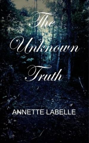 Cover of the book The Unknown Truth by Kethric Wilcox