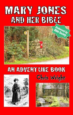 Cover of the book Mary Jones and Her Bible: An Adventure Book by Chris Wright