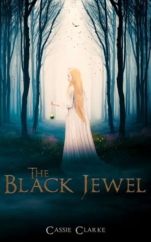 Book cover of The Black Jewel