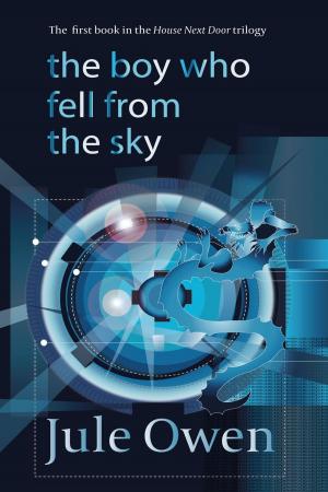 Cover of the book The Boy Who Fell from the Sky by Daniel Chay