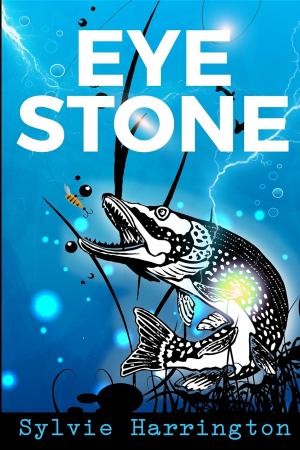 Cover of the book Eye Stone by Nina Croft