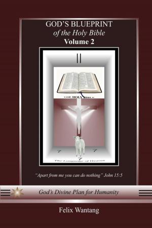 Cover of God's Blueprint of the Holy Bible: Volume 2